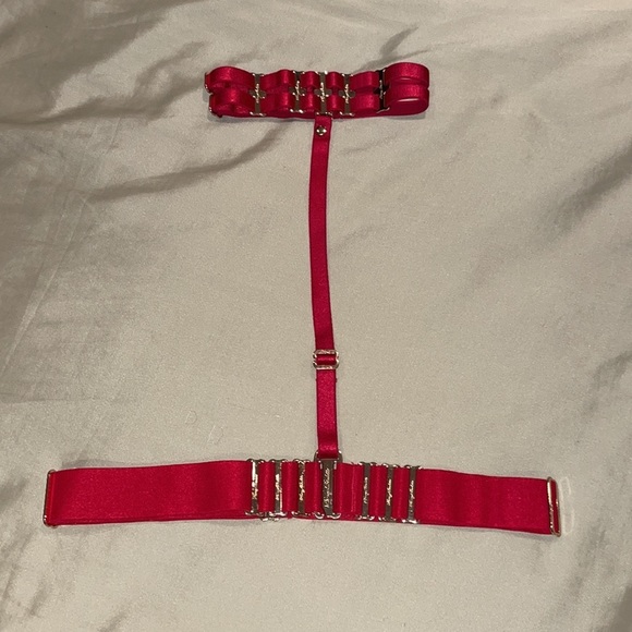 ♥️BNWOT HB™ ☆Samantha☆ 32B w/ Matching Choker Harness 3-in-1 Looks 2-Piece SET♥️ - Picture 11 of 13